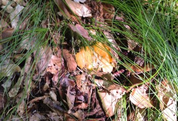 IMG_0121 - Version 2