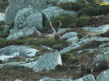 pshp DSCF3173 - Version 2