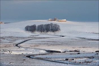 aubrac-hiver-les-salces-lozere-vers-buron-latreille-2013-03-080