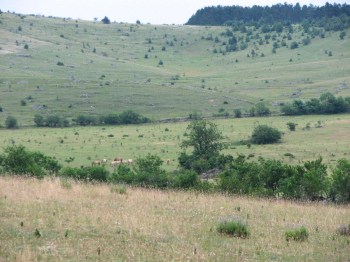 IMG_1403 - Version 2