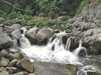 DSC01288 - Version 2