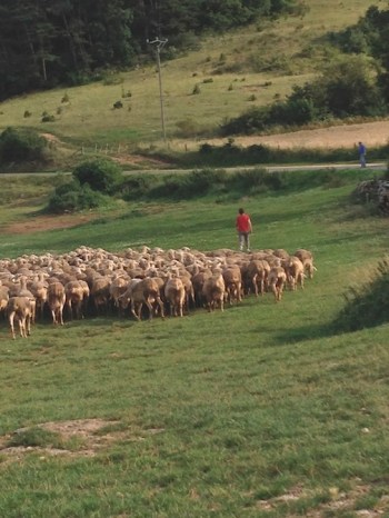 IMG_0165 - Version 2