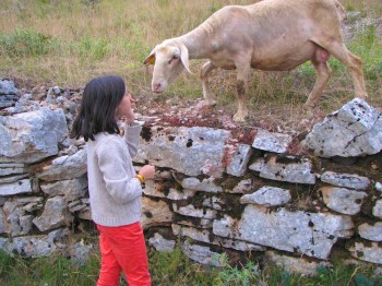 IMG_1424 - Version 2