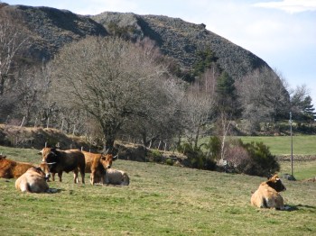 IMG_2272 - Version 2