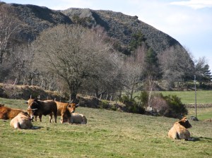 IMG_2272 - Version 2