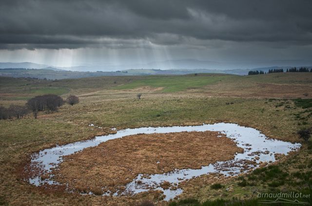 aubrac-saint-chely-aveyron-tourbiere-prat-fangous-2013-10-020